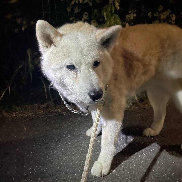 31ea755c 966c 4be1 86c7 ea74784a07b1 1714144509586