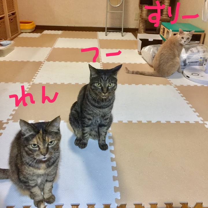 31ea9550 be54 48a0 a9f8 f0f4445afd34 1548070469695