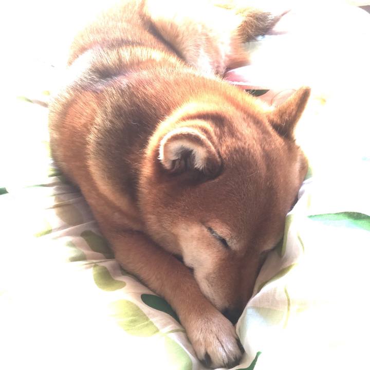 31ea9e5d e270 4c1c af72 5158e8492d62 1554191304361