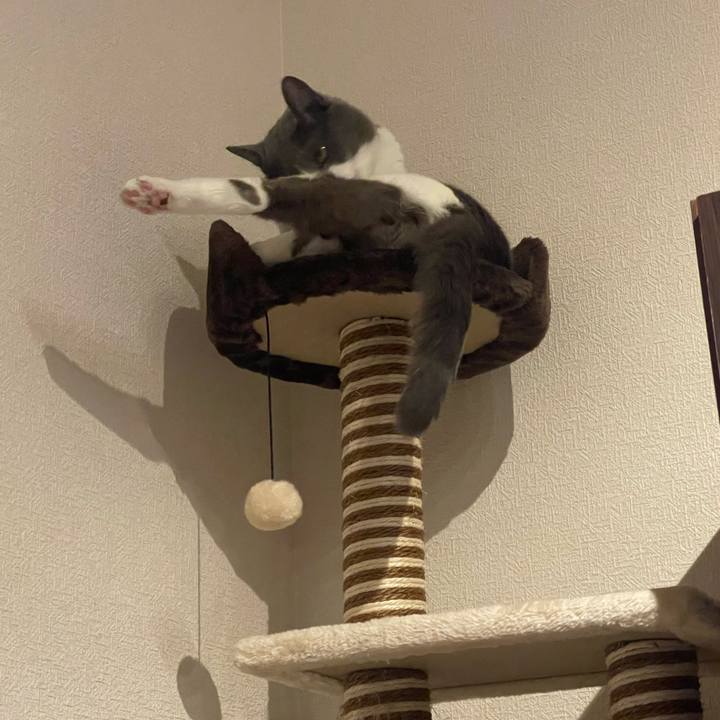 31eafb20 761d 4e27 95c8 5a15a720a64d 1674639458341