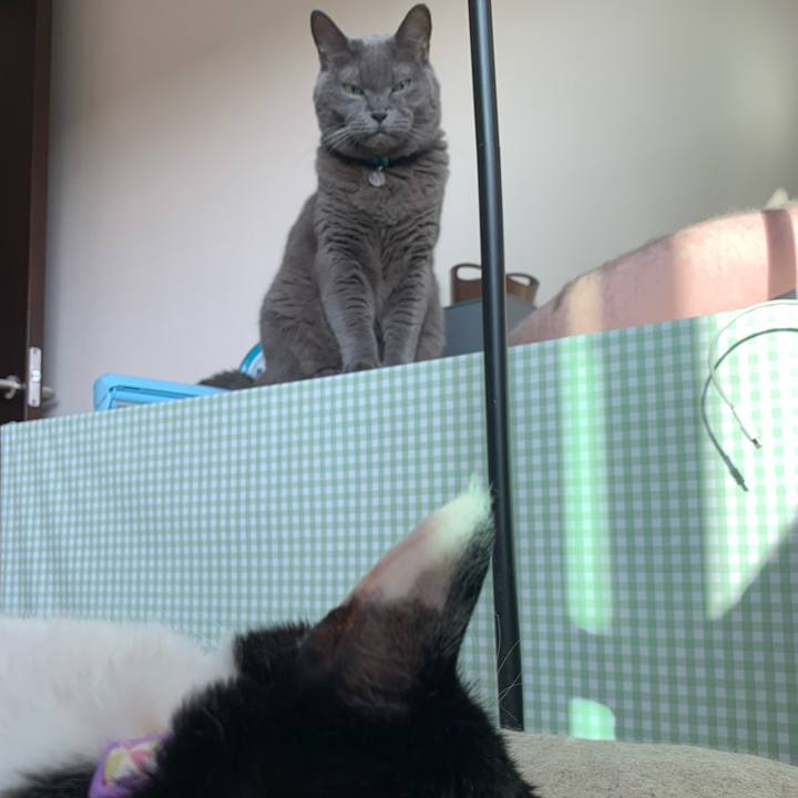 31eb1459 6e60 4e2a bff5 ddc8af4f47ed 1757113960221