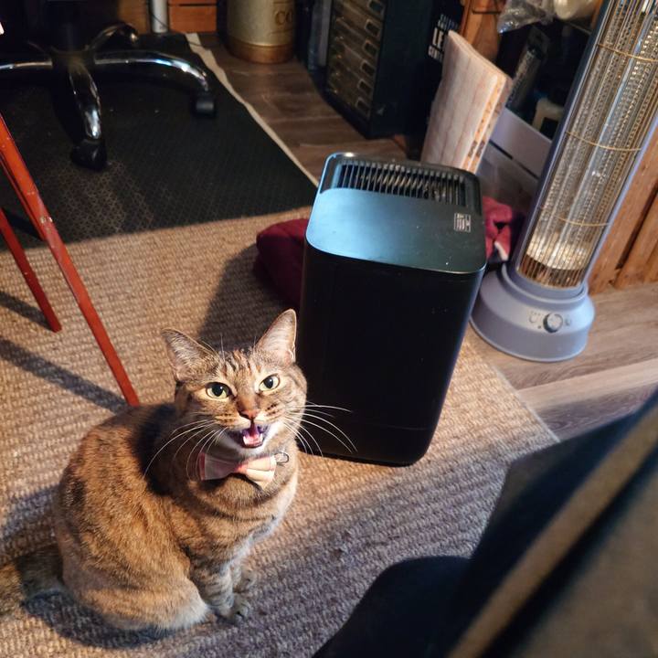 31eb1b61 c563 433a 81d6 9702500cb375 1761104256950