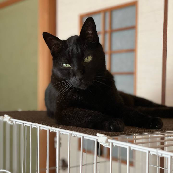 31eb2a2b 43d3 43a1 a412 86f57fd7fabe 1656466344279