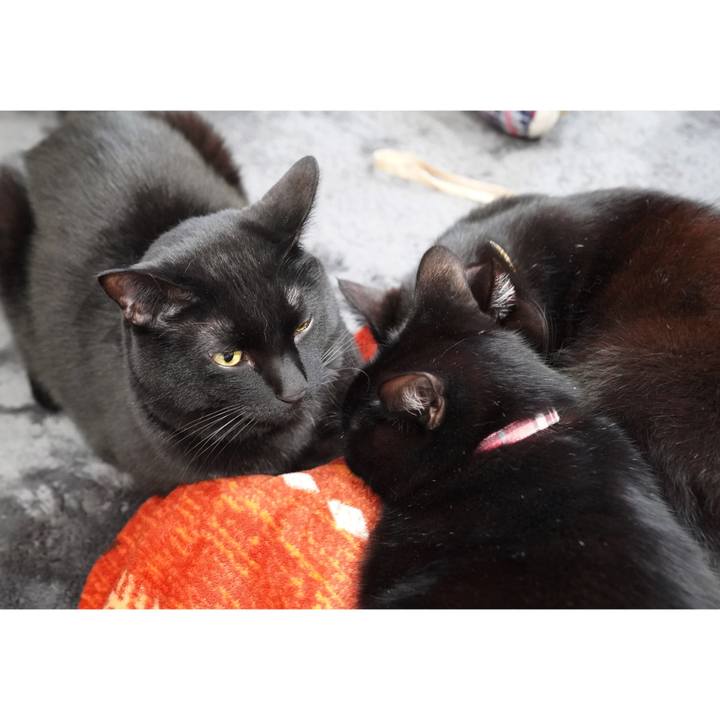 31eb302a 6f37 4ffc b88e a6202be97032 1613271693124