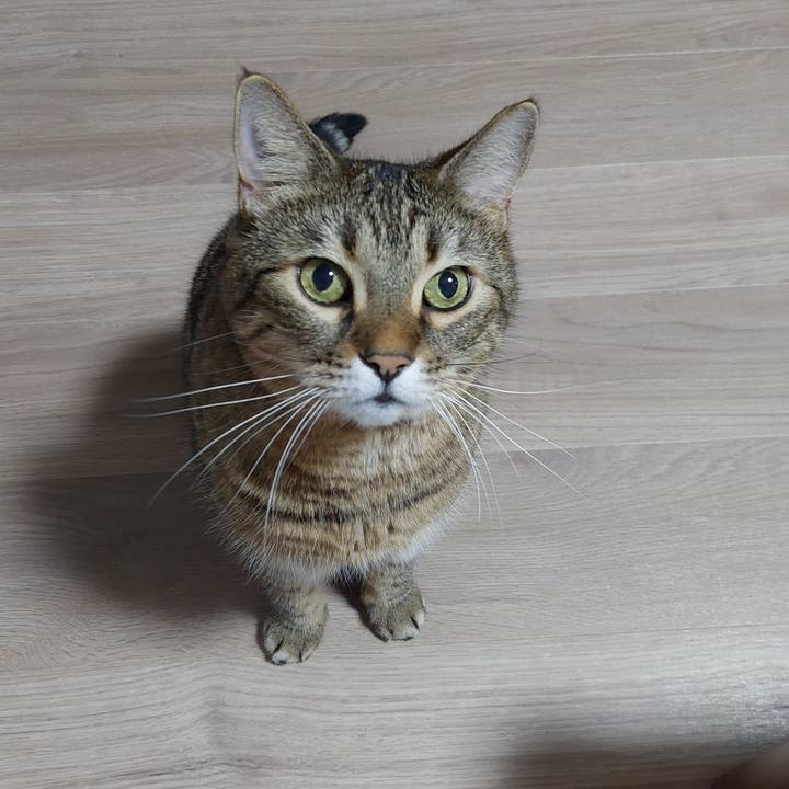 31eb314f 1d62 40a7 a3ca 43f7d4c5ce13 1635715879230