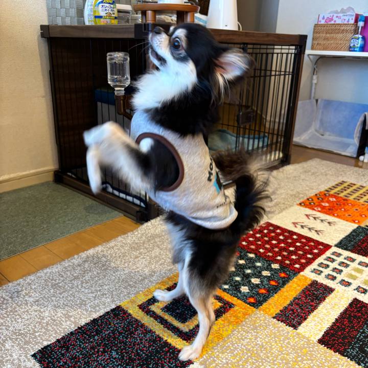 31eb68c3 3229 432e 9994 6df2ffd7b8ff 1728923422255