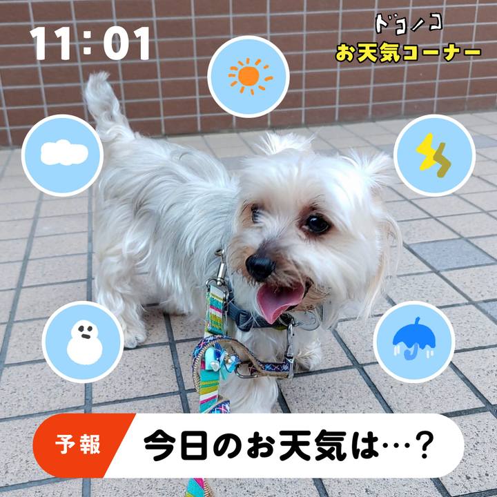 31eb7716 9342 4d01 8cc9 f7f4a35adbfb 1782013970397