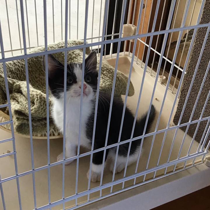 31eb7c63 0977 4be4 8a97 155b9d5618cc 1623896053690