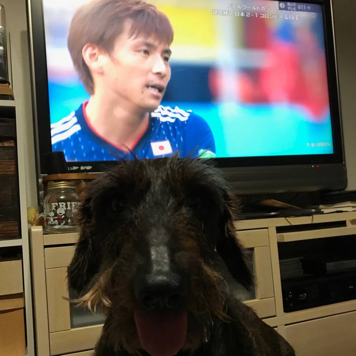 31ebe368 3487 462d ad4a 729bc27bf4b0 1529416635141