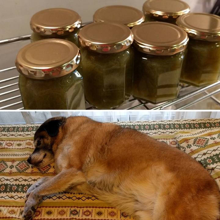 31ec0f01 bf5c 445e ac20 02bb61a1d99b 1530522215755