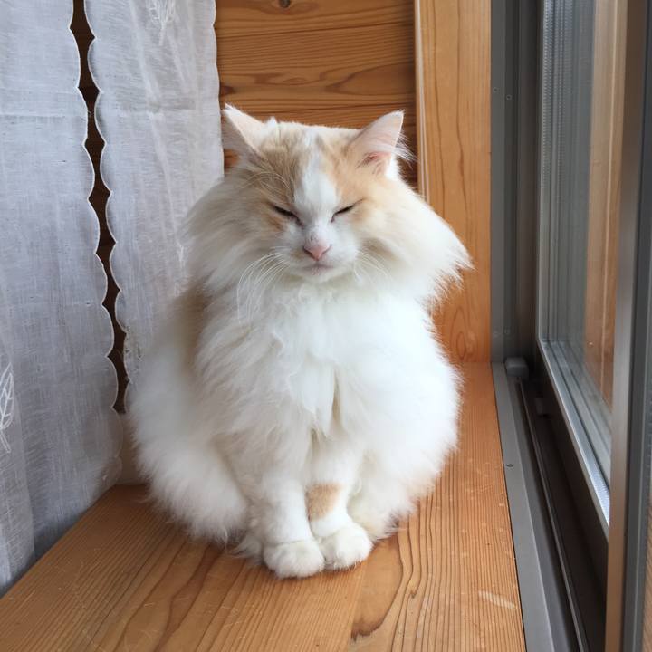 31ec26c5 a9e3 4337 a59c 9136022ea991 1626474936272