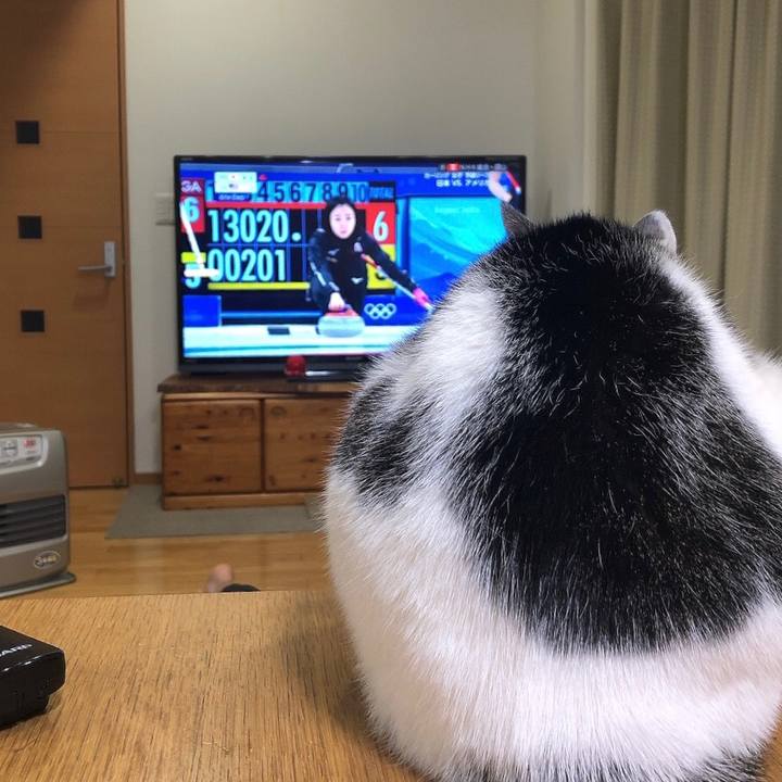 31ec43a7 0950 486a 955c b7a9b6905be8 1645018989717