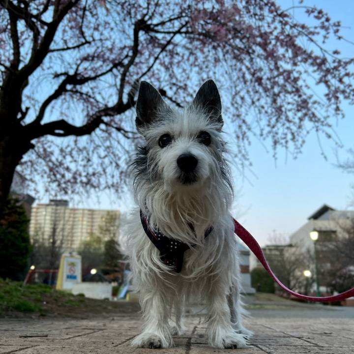 31ec4706 d728 4fbd 89cb 309844658e05 1679216866110