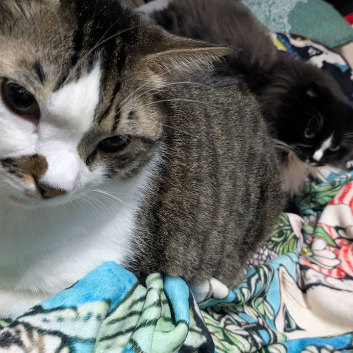 31ec82d6 d955 4c42 b414 5227664f8fce 1763370155084