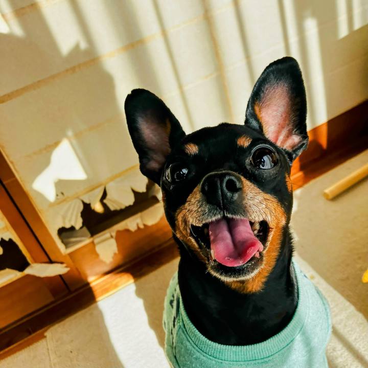 31eca60c 4163 4885 a926 902e82cc8947 1735378807786