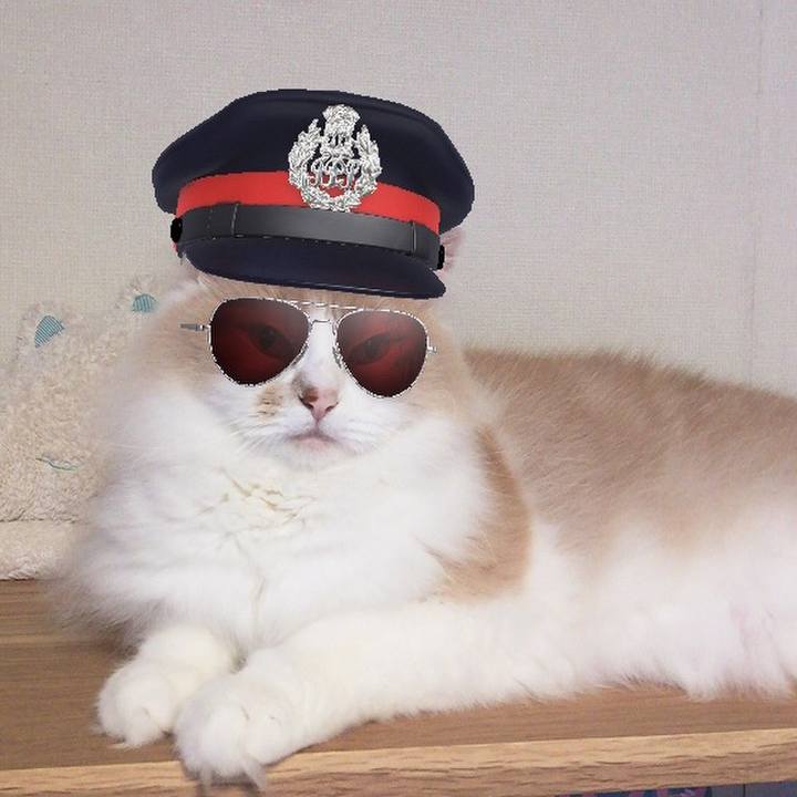 31ecbb47 1144 4486 87e9 a461ff9fb4ef 1561892455947