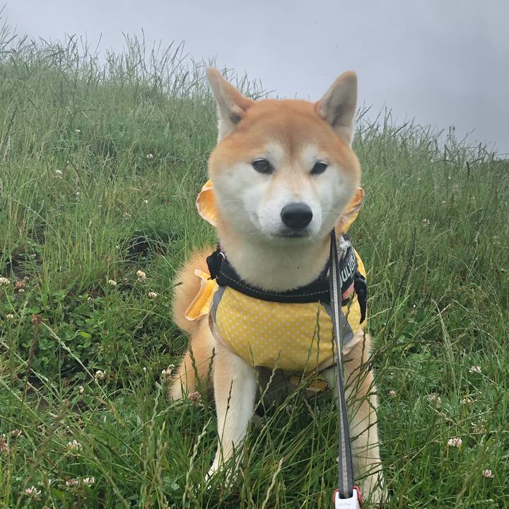 31ecbefd 8410 4eb9 9abf f9c333e3cb72 1562112486103