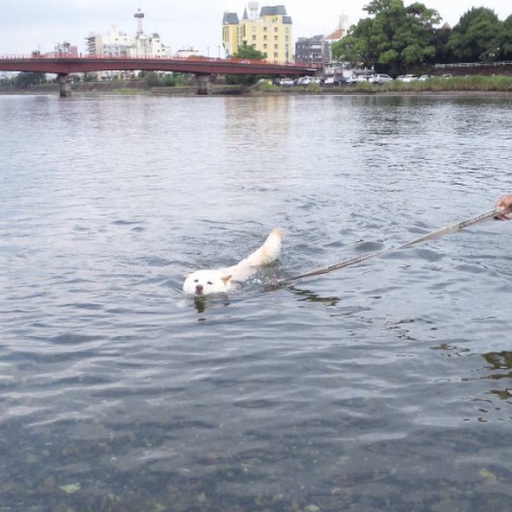 31ed0a75 cfcc 4693 8bcf a4818cb9844b 1648293284130