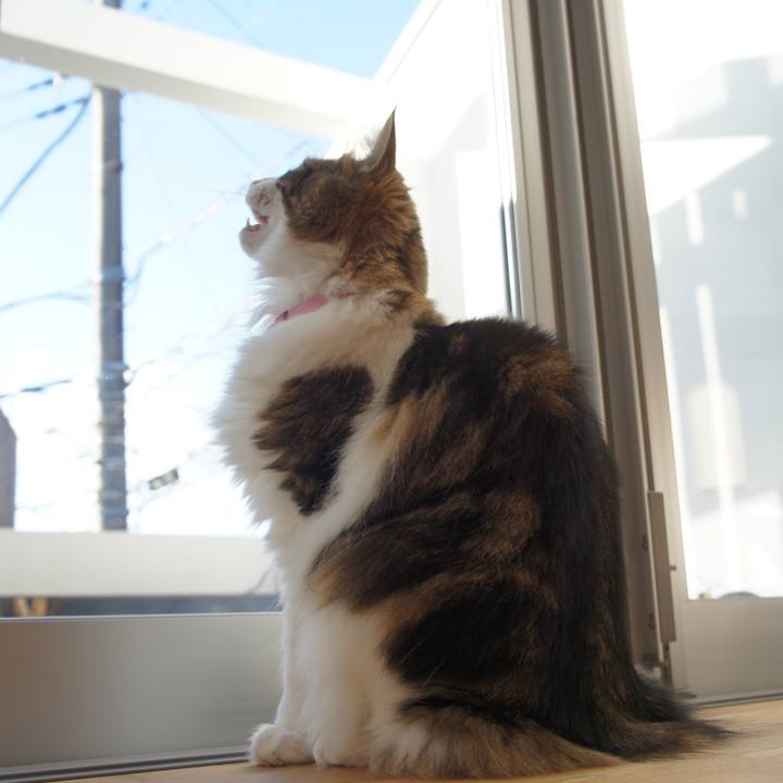 31ed3b39 f862 45dd 9609 707e3937a44b 1517969897430