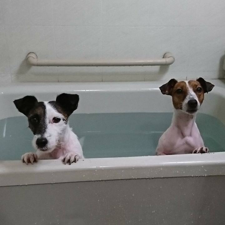 31ed44d0 876a 444e b216 eaf1cad5b192 1546170801708