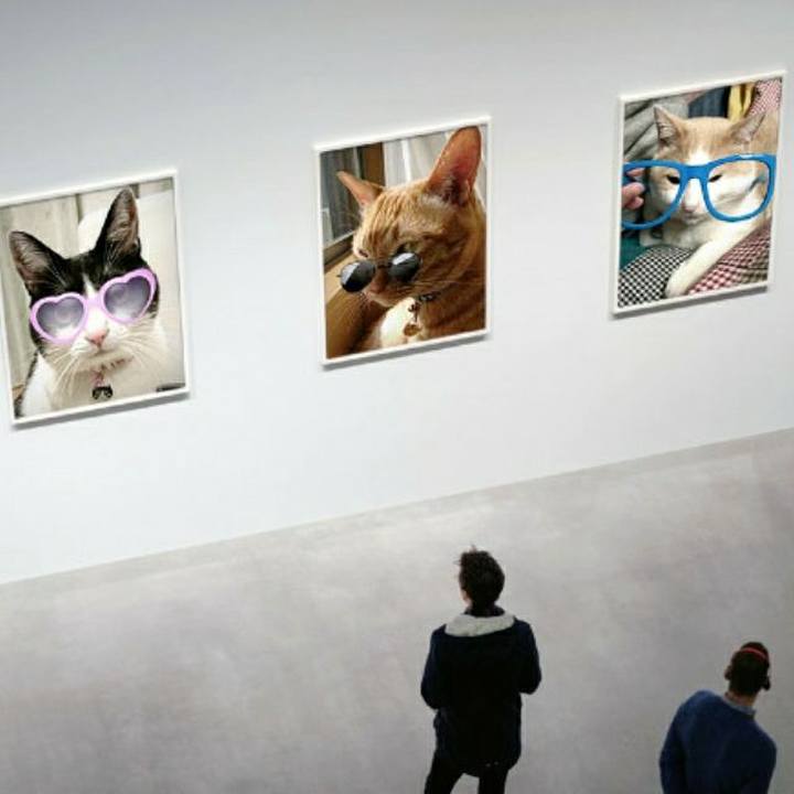 31ed55c1 09ab 4a08 b62b 72802deff6f6 1554456158786