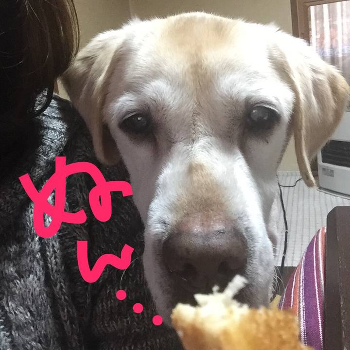 31ed79bc aaca 4d02 adc2 29787970b852 1519460795515