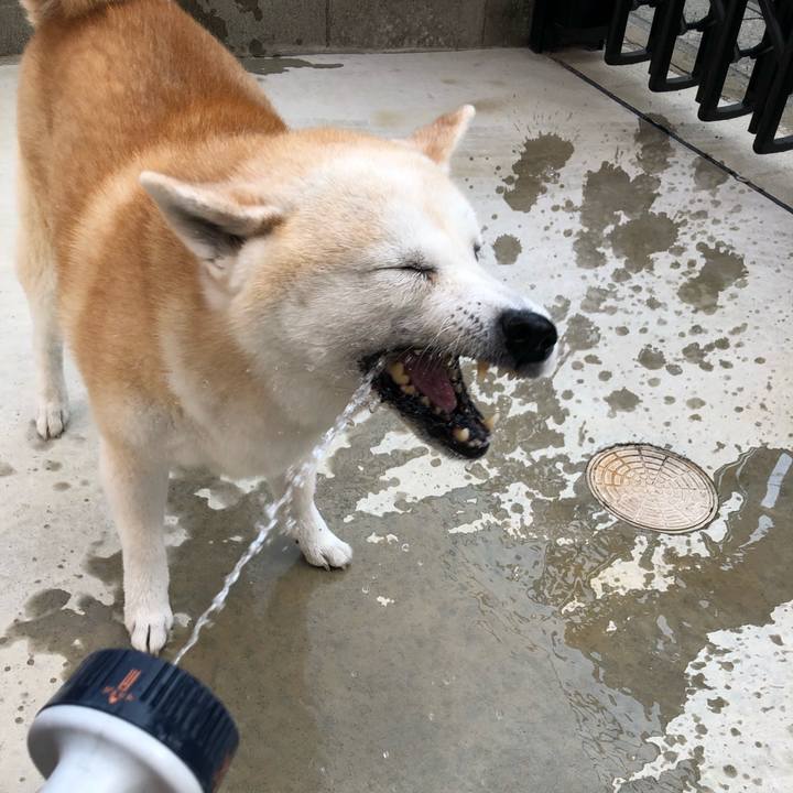 31ed8473 9276 4f34 83df 60b0933ef6d8 1566718725461