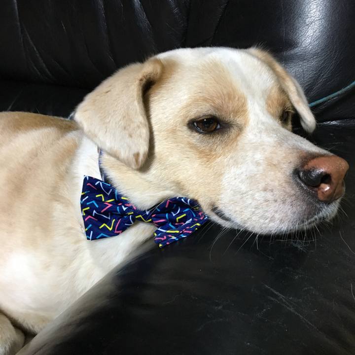 31edd013 3245 421b 98ed 5cc5cdc05ff2 1509116628587