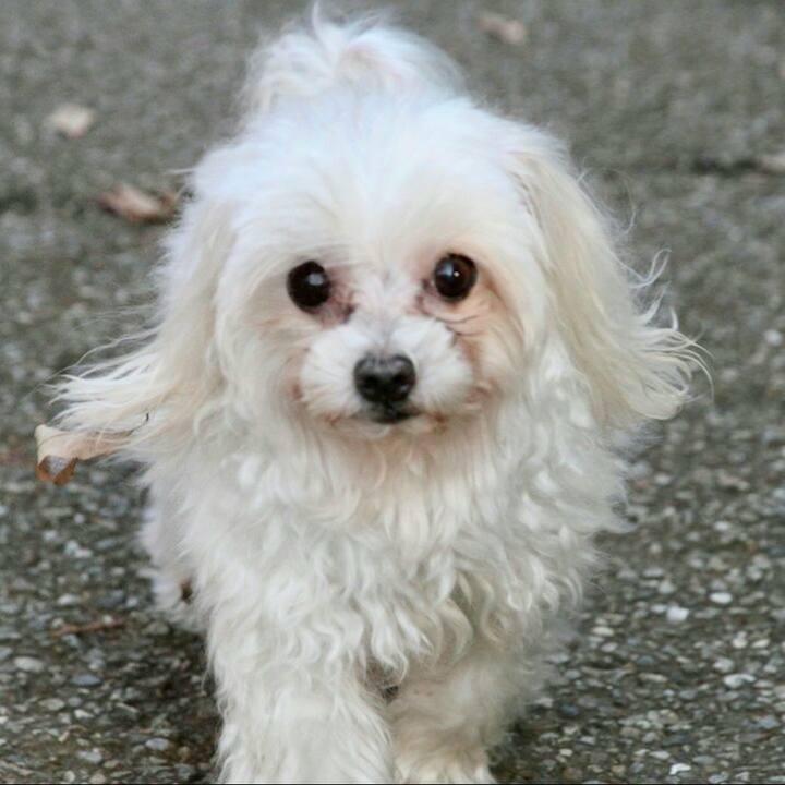 31edfb2b be87 4f7f 8f06 e4fcc8031075 1758682886470