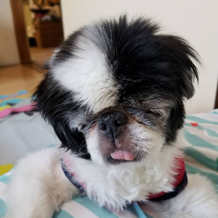 31ee094f e456 4e8f 8edf 62de2ea0543a 1623241963995