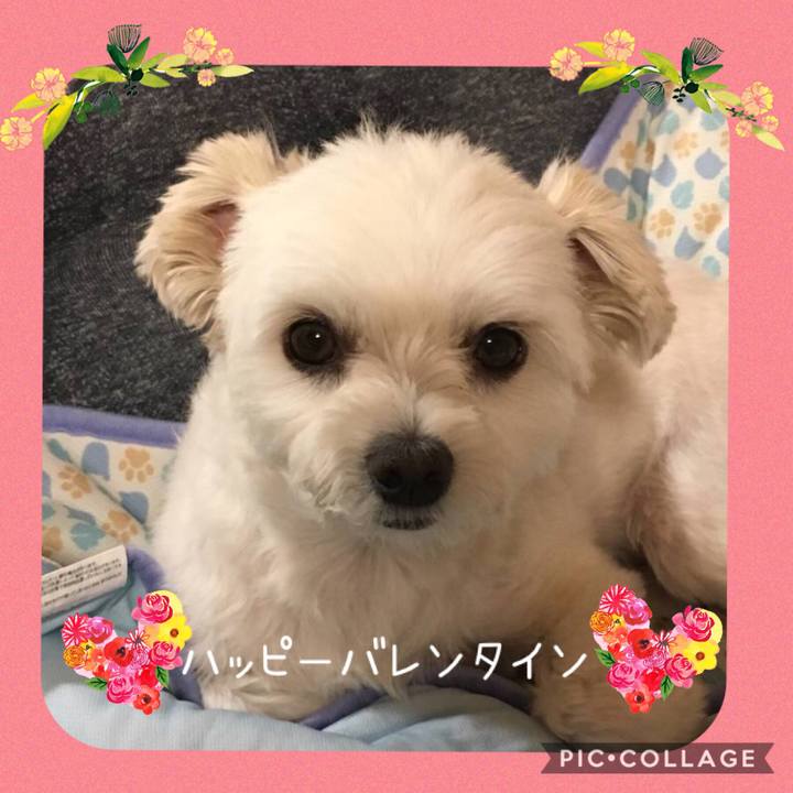 31ee312f 69b9 465f a02d 395975416093 1550109832537