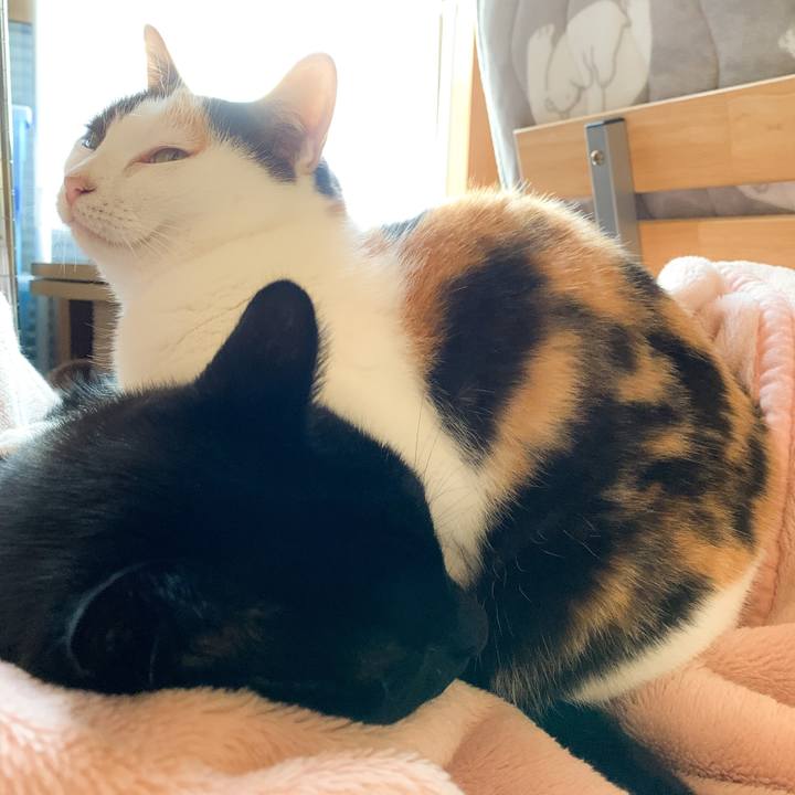 31ee445d a9c8 4eed a62f 49635b4bb88f 1575165928181