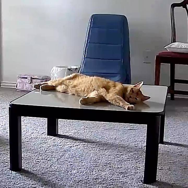 31ee5ba3 159f 400b 9fb3 461c0b7e2454 1743911080016