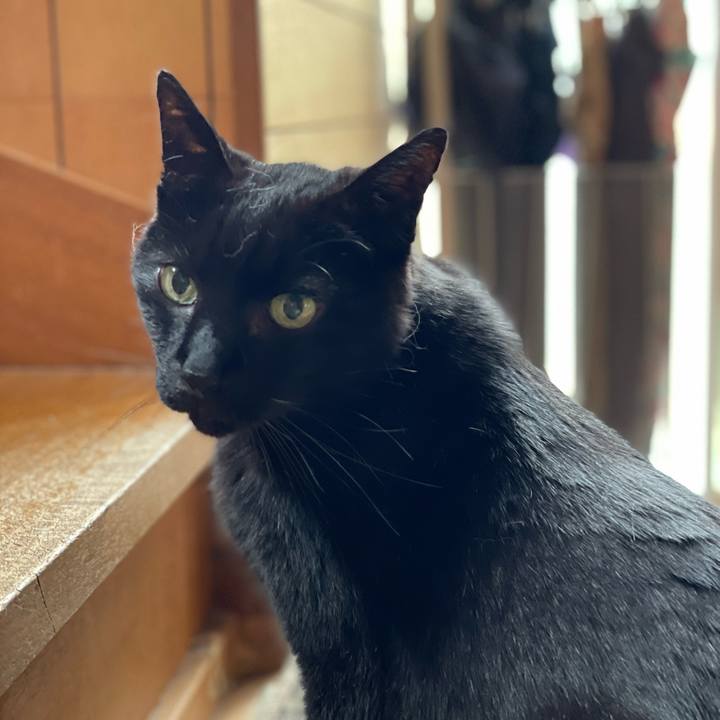 31ee7c0a ada7 4ce3 88b9 33e7ef7a9ddb 1652407067812