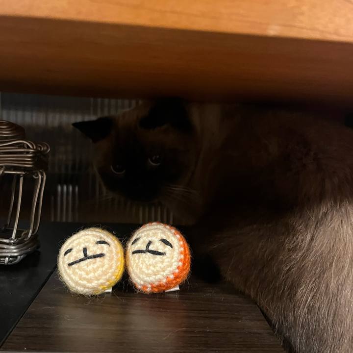 31ee9fe5 f603 454d 81a2 1d3f92a54b99 1665191943254