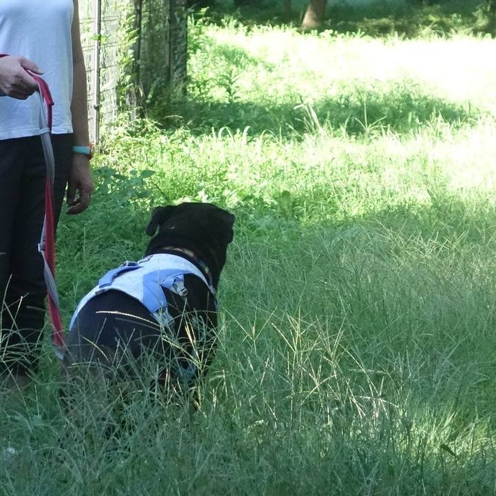 31eead02 bc4e 4918 bdca 439ba2310768 1692920487491