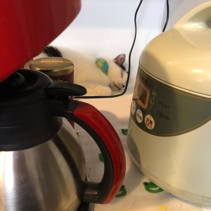 31eebc21 9755 41c0 b52f 7a6d7355da88 1538303943548