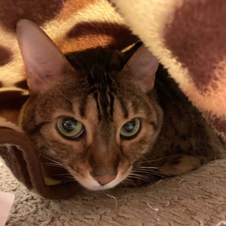 31eebef3 c300 4108 a84b b7bd629f0424 1573953850504