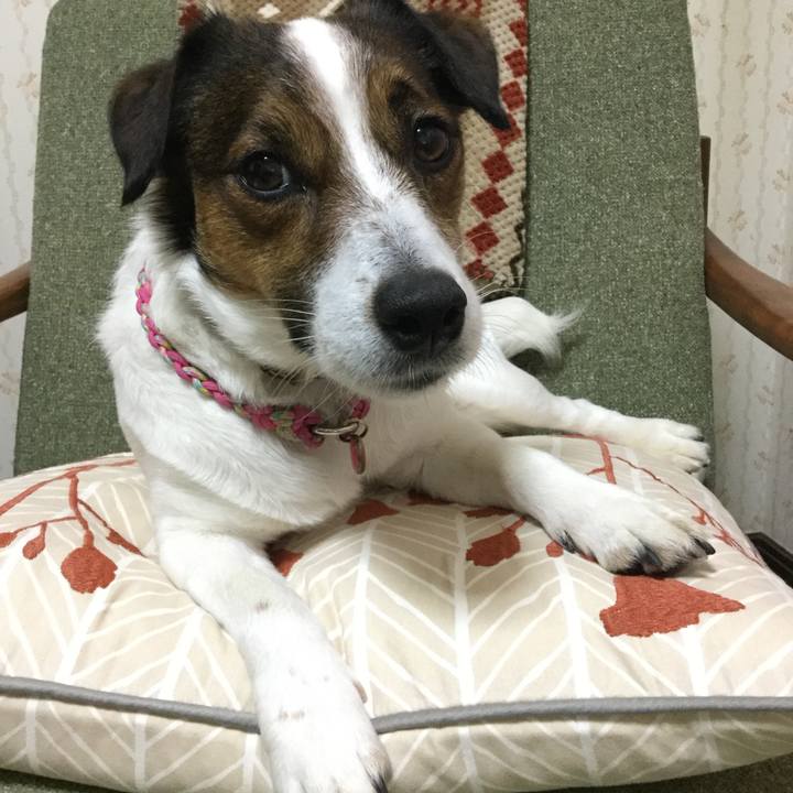 31eedacb 79e1 4d62 a31d 51e6ed88927b 1525168123799