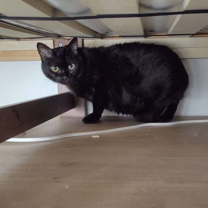 31ef0dde a79b 4665 879e e3530c0e3425 1728211839298