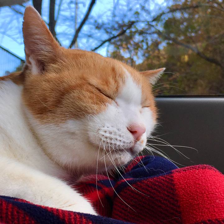 31ef288e 0455 497e b2ca 51a1975af27c 1574419882644