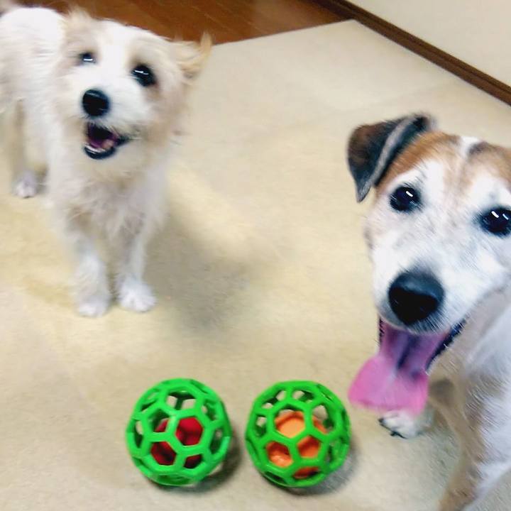 31ef4f03 3814 4730 8c66 cea76b0bd281 1536415003603