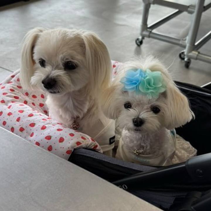 31ef7742 af4b 41cc 9993 b2ab9661cdca 1755354115982