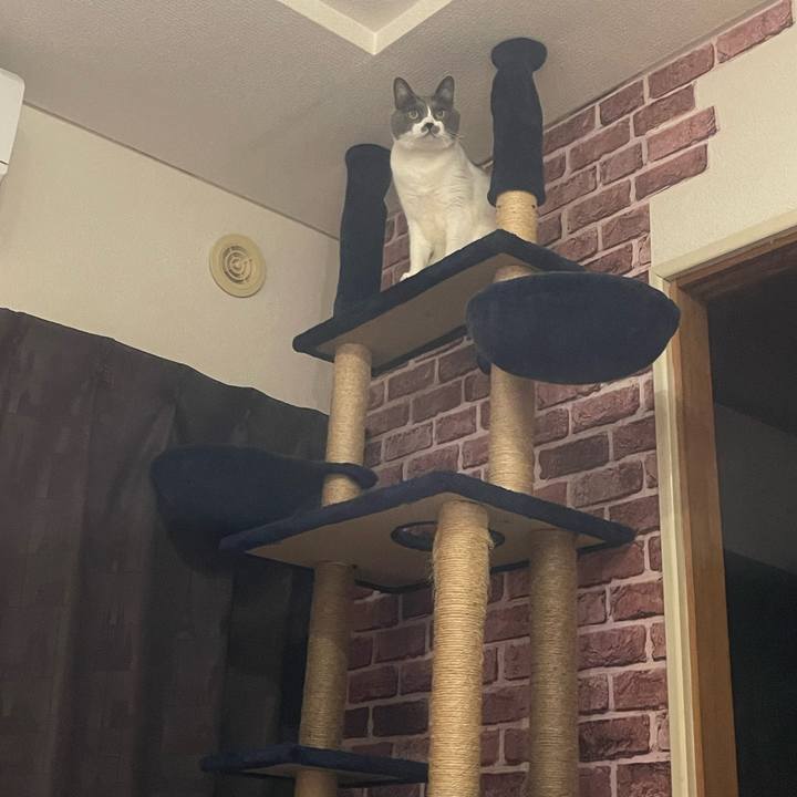 31f056aa e7cb 4ba8 a93c 4d0c7cabfbe7 1704621228350