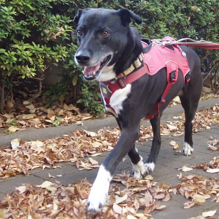 31f07368 dd20 49c4 91e2 d47f68fd0120 1701218179402