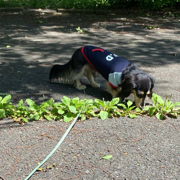 31f0a27b b160 4960 82f0 f7e218173c45 1746682514832