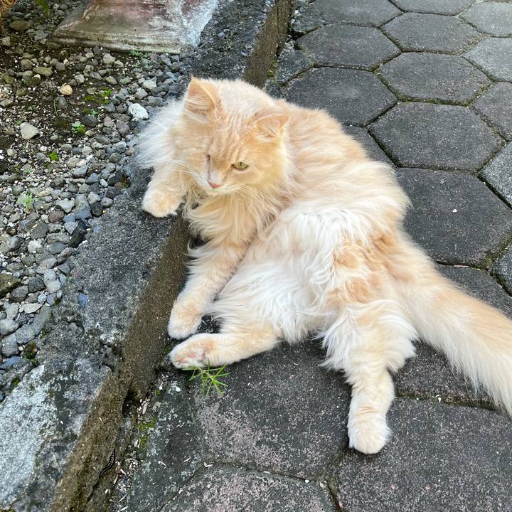 31f0bd3d e73f 4622 a7a9 c67f17ecac30 1763284747113