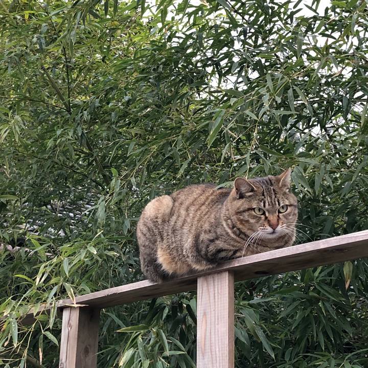 31f0d028 7c97 4eab 9706 d85bad491fd7 1516290654717