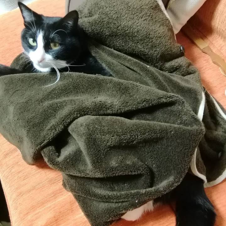 31f0dfeb 5d06 423c 956a b1a731fe4b81 1604824335088