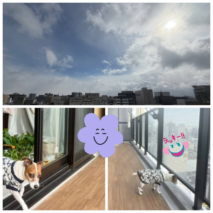 31f0ea67 65c2 4718 b34c a56eb83b89d9 1770534691929